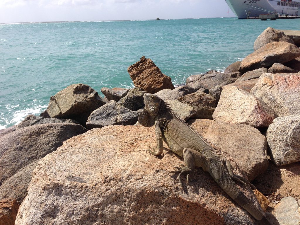 Aruba