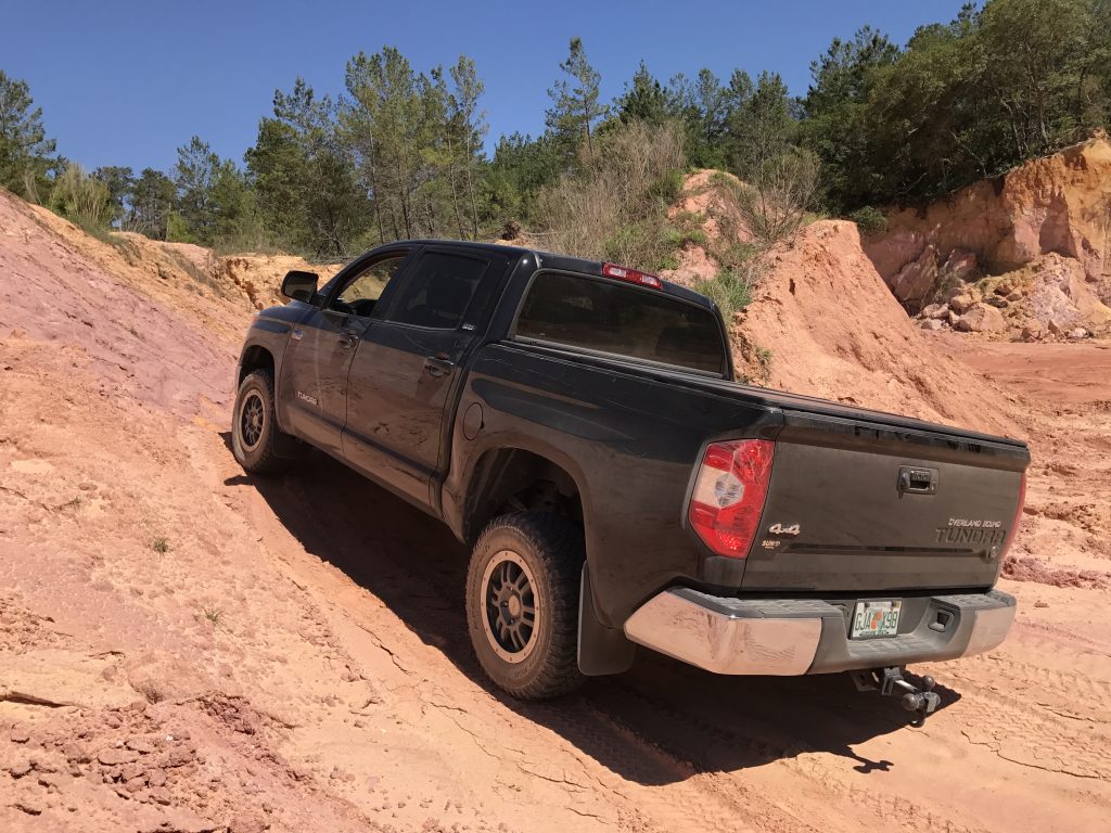 Ocala National Forest