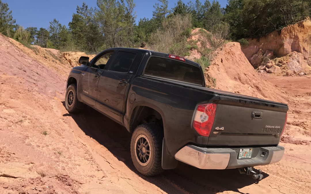 Ocala National Forest