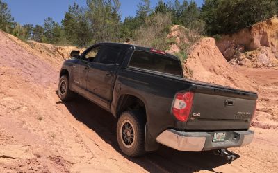 Ocala National Forest