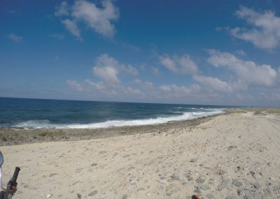 Beach in Aruba - Adventure with Danan