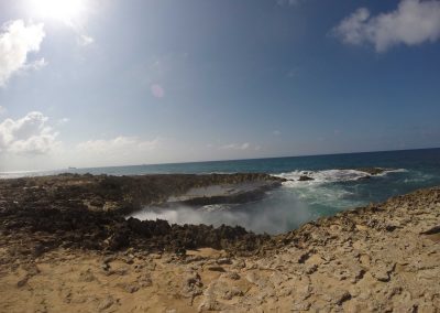 A view of West Punt Aruba looking toward the ocean - Adventure with Danan - Adventure!