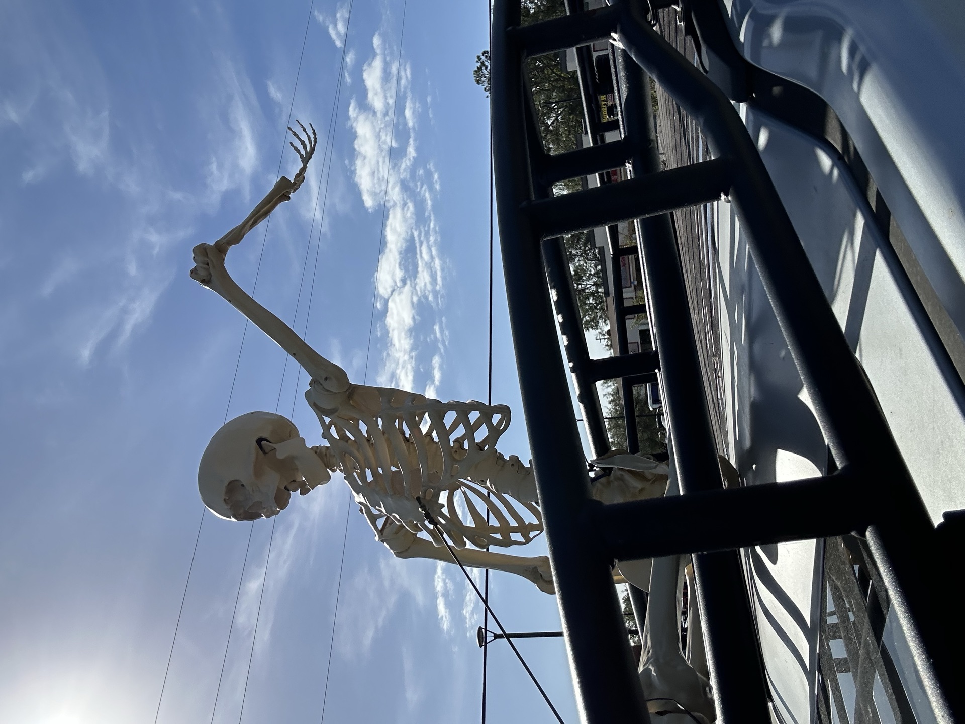Coming Home to the Storm 2 A giant Halloween skeleton on the drive