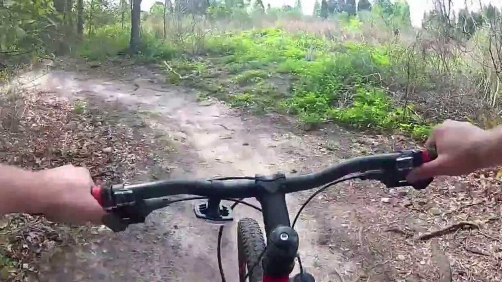 Mountain Biking North Creek at Alafia River State Park