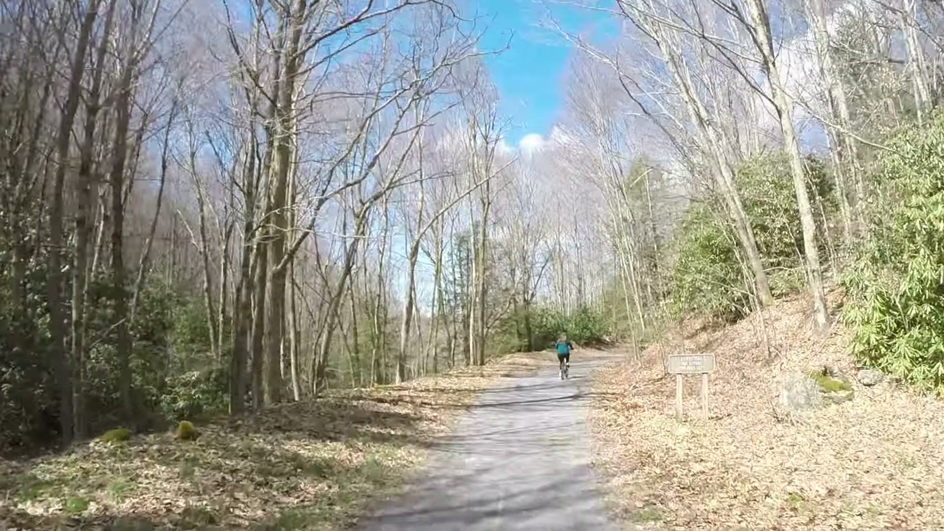 Biking the Virginia Creeper Trail, Whitetop to Damascus 13 Riders heading down the trail through a bare early spring forest