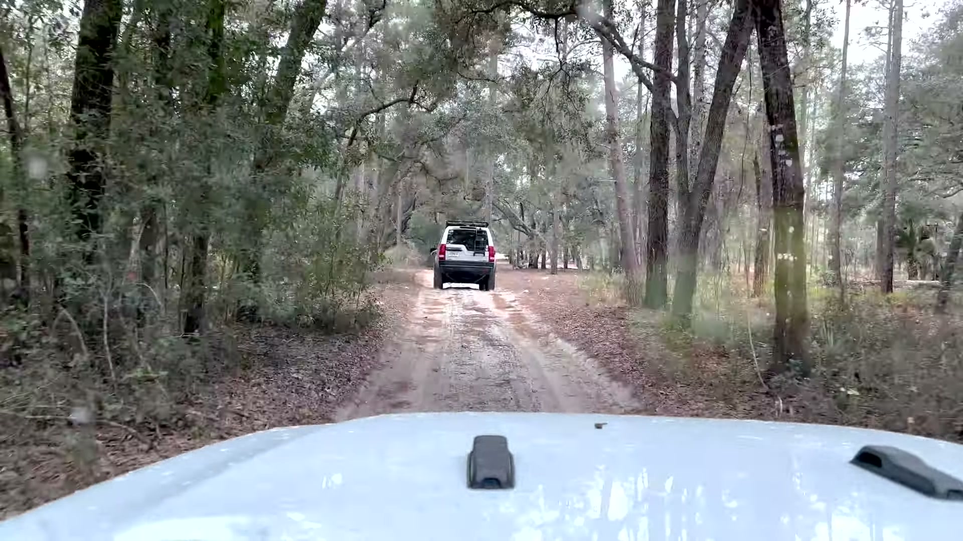 One Night in Ocala National Forest: Camp Cooking, Car Camping and Lake Dorr 14 Following the Land Rover down an oak-lined trail