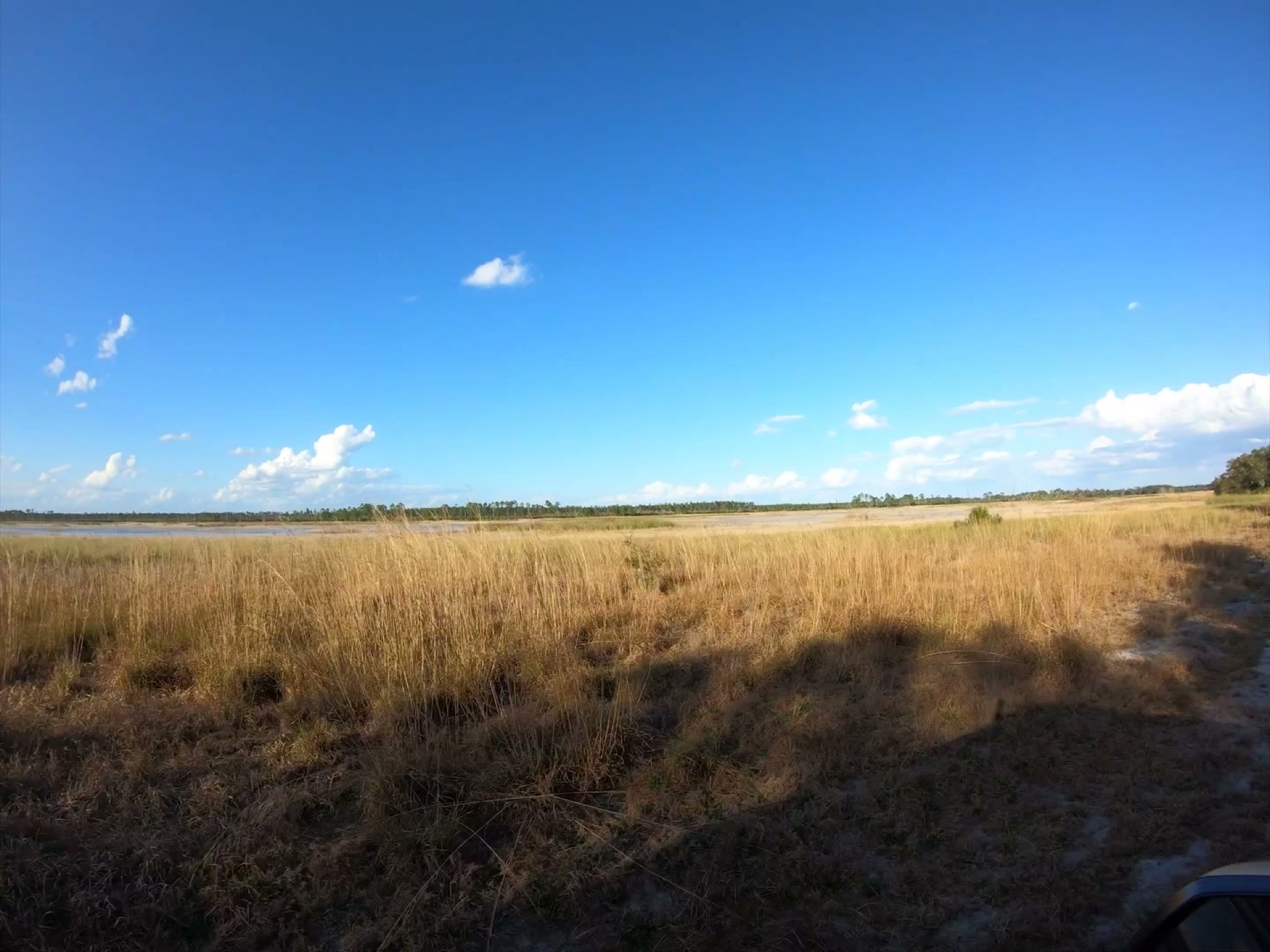 The Rally Point: Overlanding Hopkins Prairie in Ocala 1 The wide open grassland of Hopkins Prairie under a blue sky in Ocala National Forest, Florida