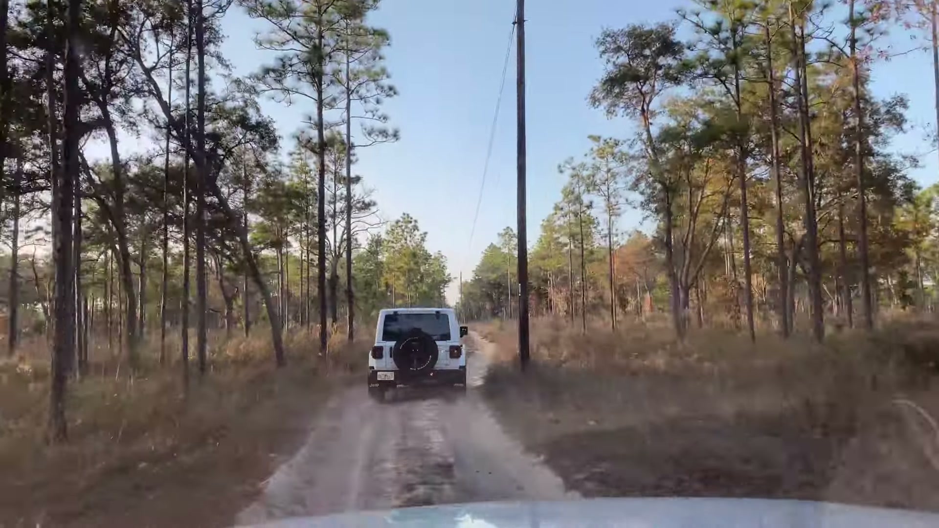 One Night in Ocala National Forest: Camp Cooking, Car Camping and Lake Dorr 9 Matt's Jeep on a pine-lined road in Ocala at dusk