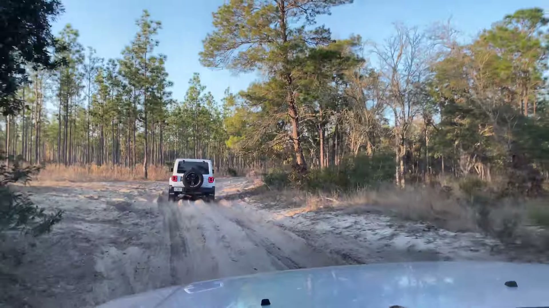 One Night in Ocala National Forest: Camp Cooking, Car Camping and Lake Dorr 10 A white Jeep Wrangler on a sand road through the pines
