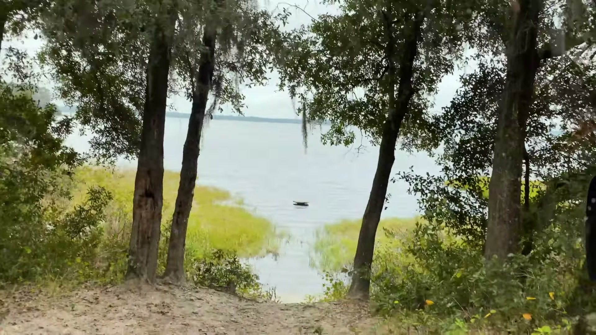 One Night in Ocala National Forest: Camp Cooking, Car Camping and Lake Dorr 1 Lake Dorr seen through the oaks and pines from a sandy trail in Ocala National Forest, Florida