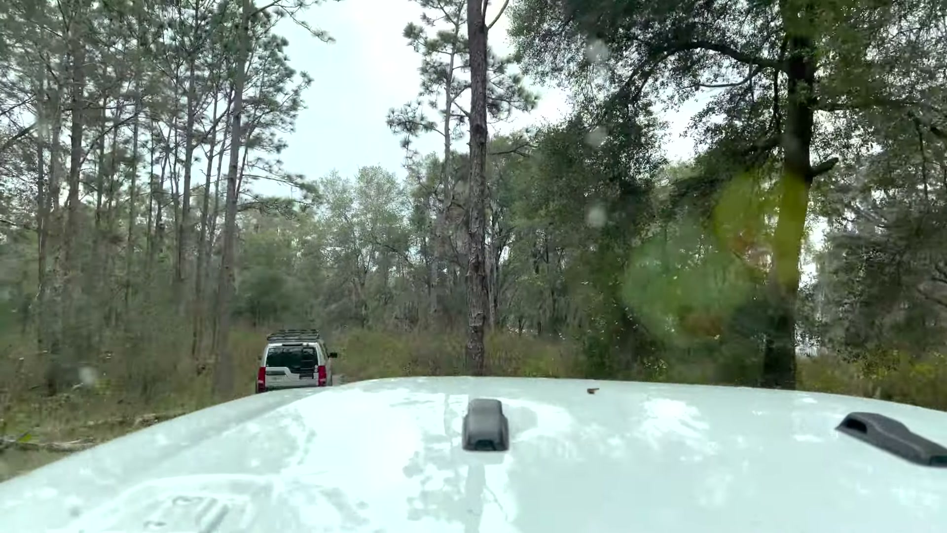 One Night in Ocala National Forest: Camp Cooking, Car Camping and Lake Dorr 15 The Land Rover LR3 on a forest road in Ocala