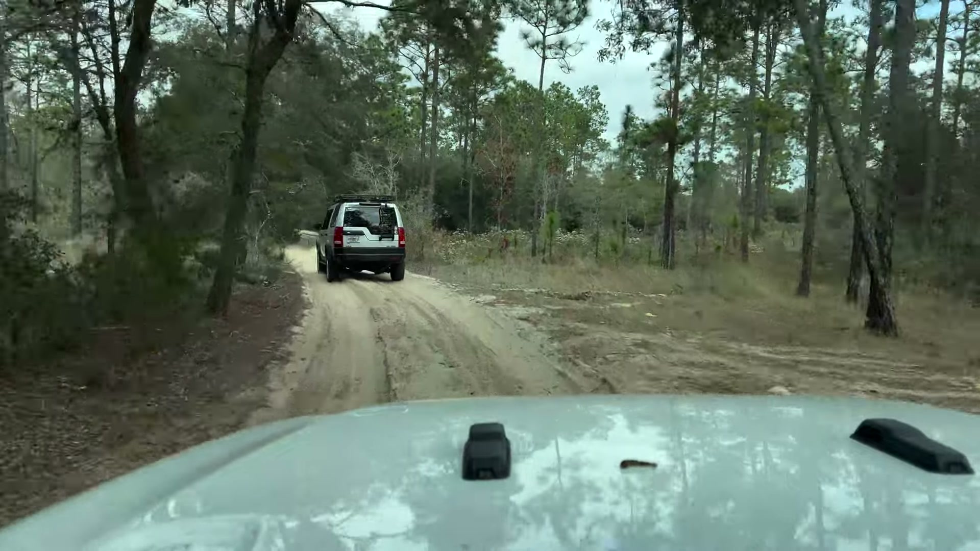 One Night in Ocala National Forest: Camp Cooking, Car Camping and Lake Dorr 17 The Rover rolling through the pine flatwoods
