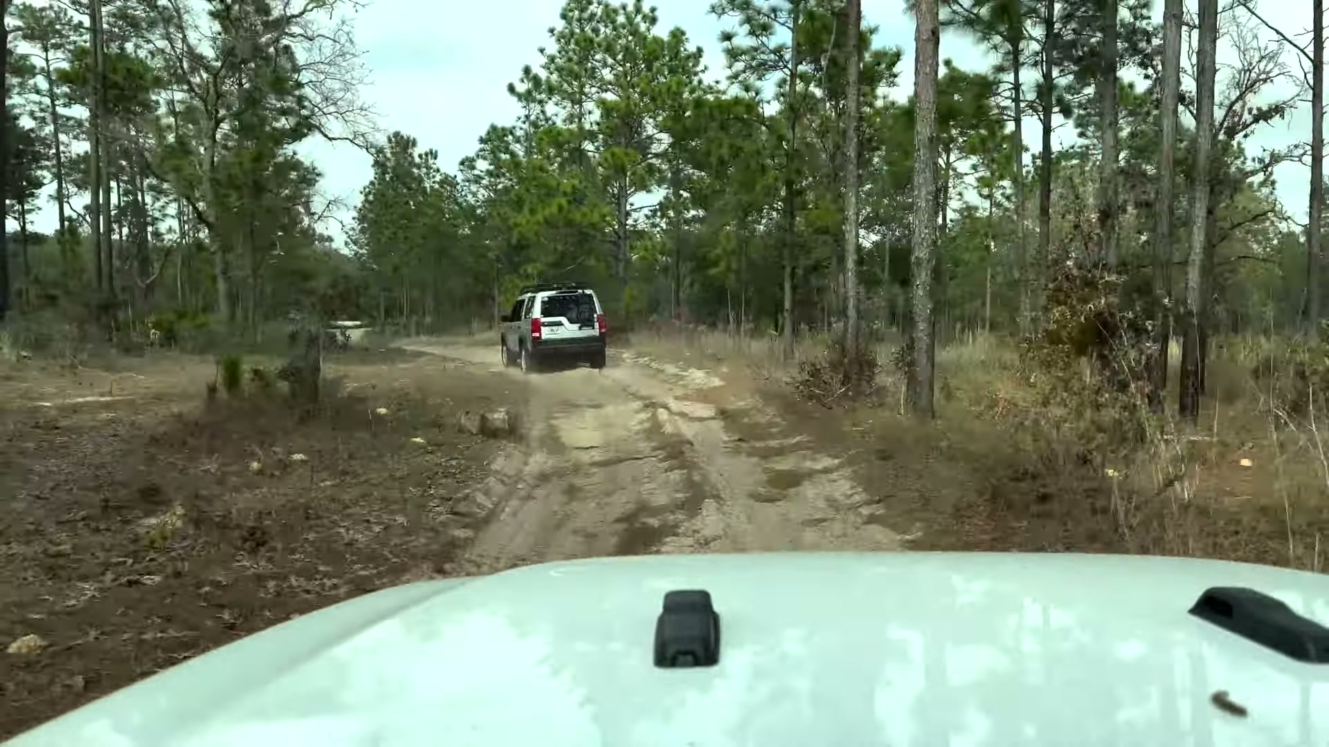 One Night in Ocala National Forest: Camp Cooking, Car Camping and Lake Dorr 19 The Rover on a white sand road under the pines