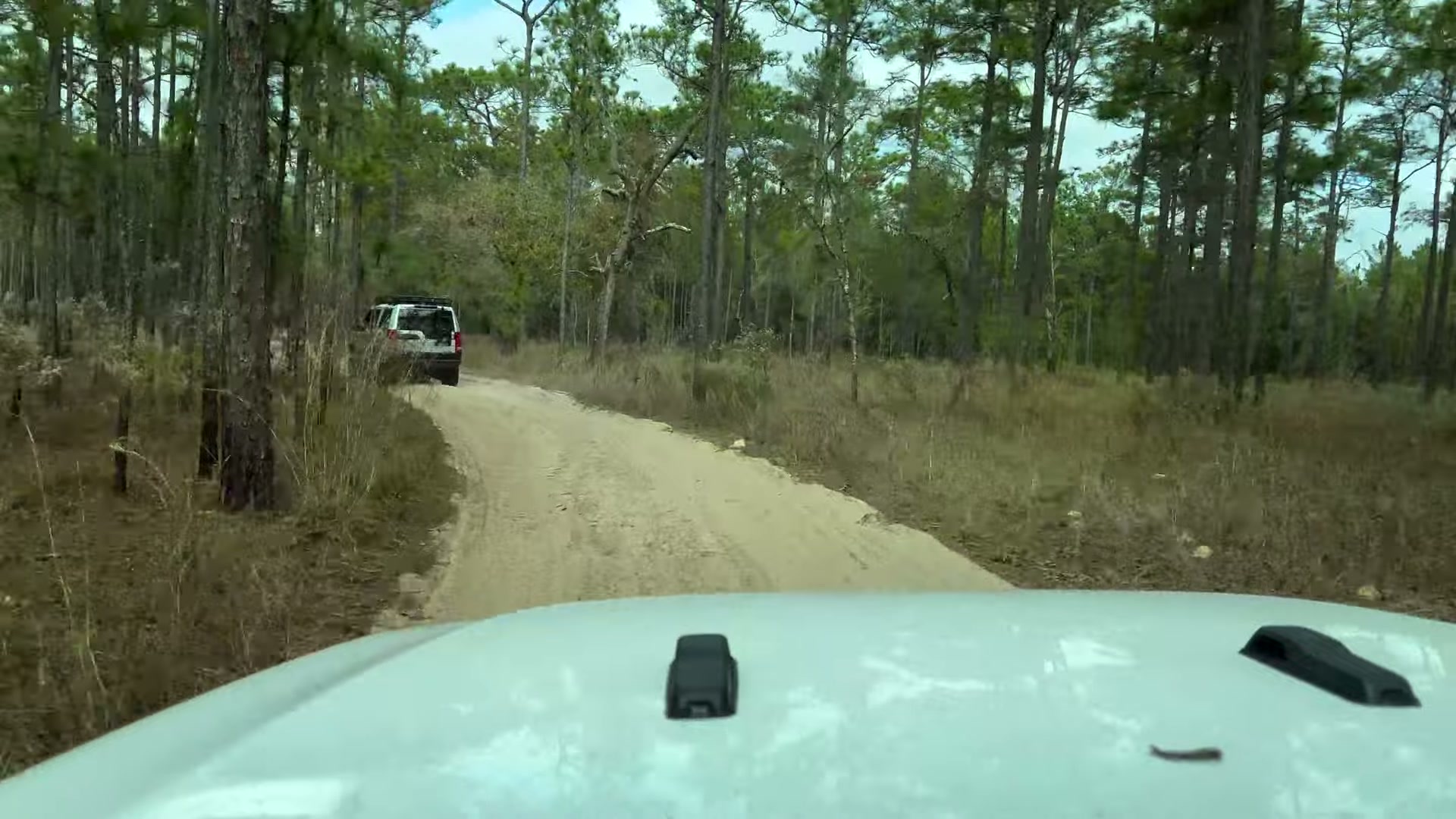 One Night in Ocala National Forest: Camp Cooking, Car Camping and Lake Dorr 16 The Rover on a sandy two-track through the pines