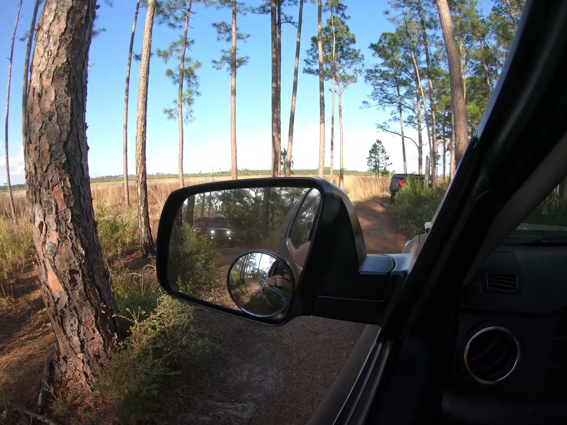 The Rally Point: Overlanding Hopkins Prairie in Ocala 10 Side mirror view on a pine-lined trail in Ocala