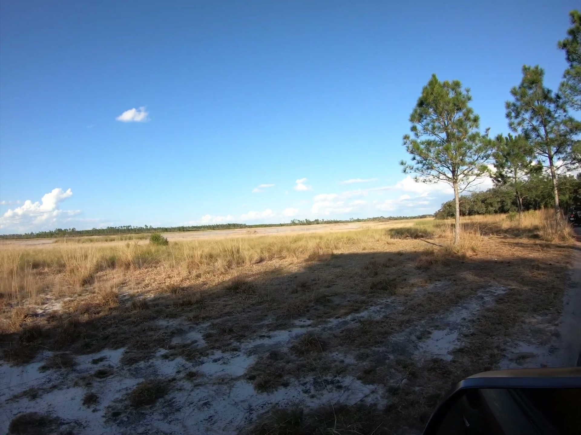 The Rally Point: Overlanding Hopkins Prairie in Ocala 4 A white sand road running along the golden grass of Hopkins Prairie