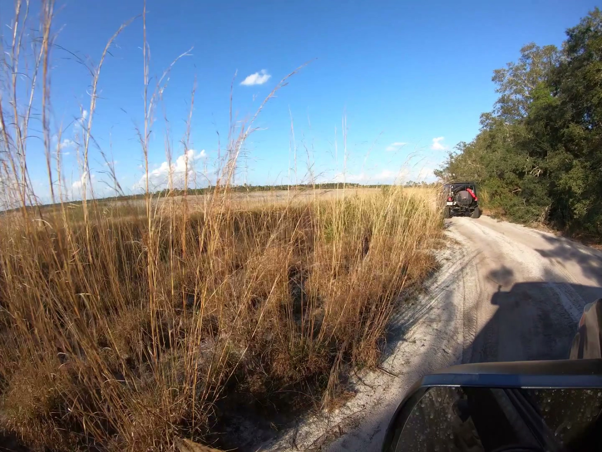 The Rally Point: Overlanding Hopkins Prairie in Ocala 13 The convoy rolling past tall grass at Hopkins Prairie