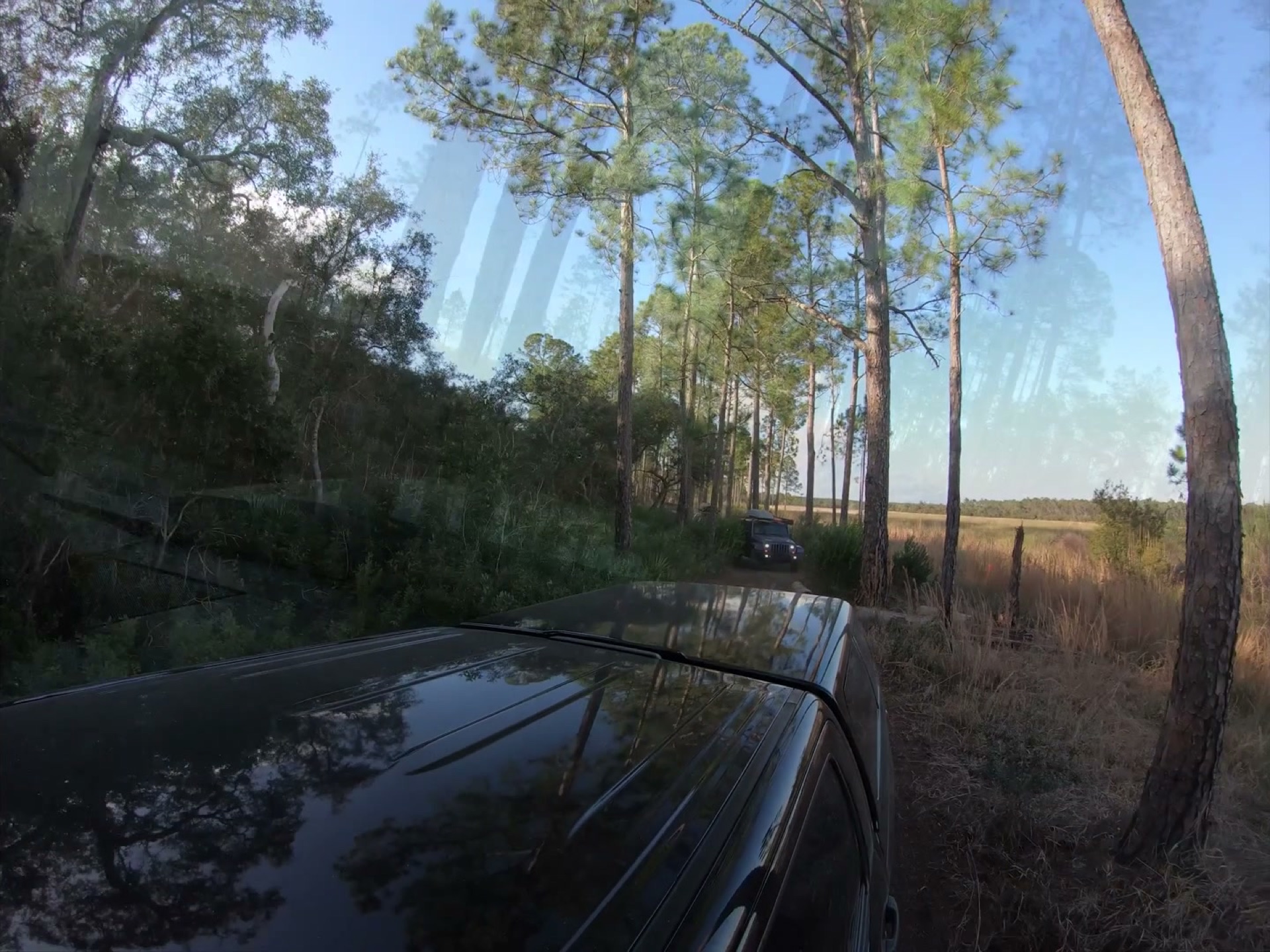 The Rally Point: Overlanding Hopkins Prairie in Ocala 8 The Tundra's hood on a forest trail in Ocala National Forest