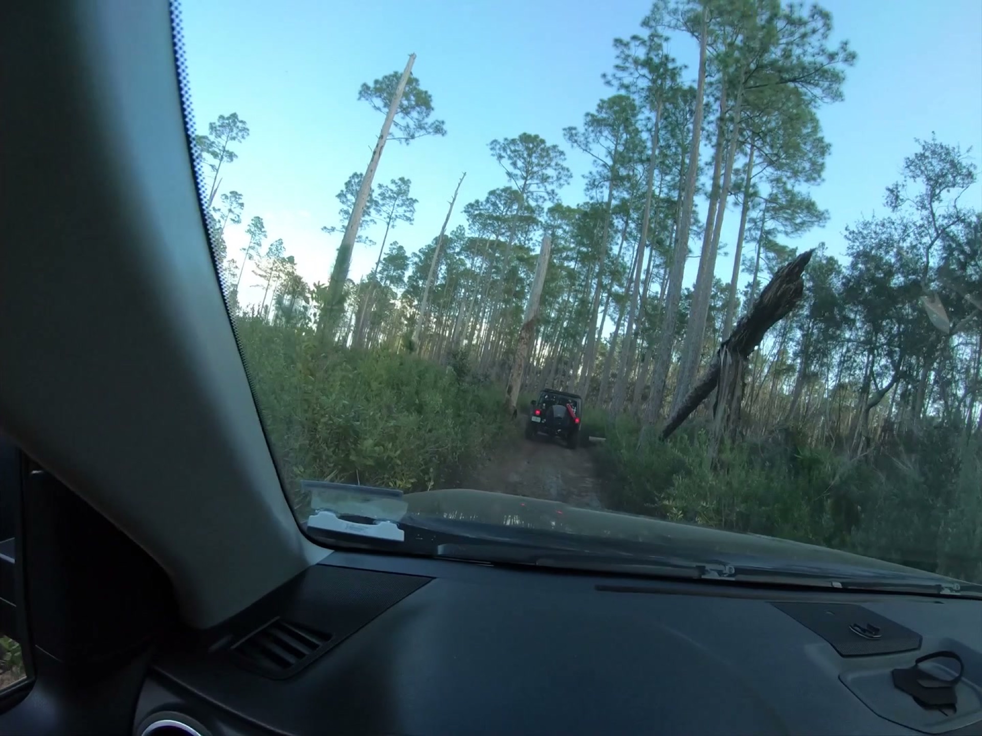 The Rally Point: Overlanding Hopkins Prairie in Ocala 2 Looking through the Tundra's windshield down a tight sand trail between the pines in Ocala National Forest