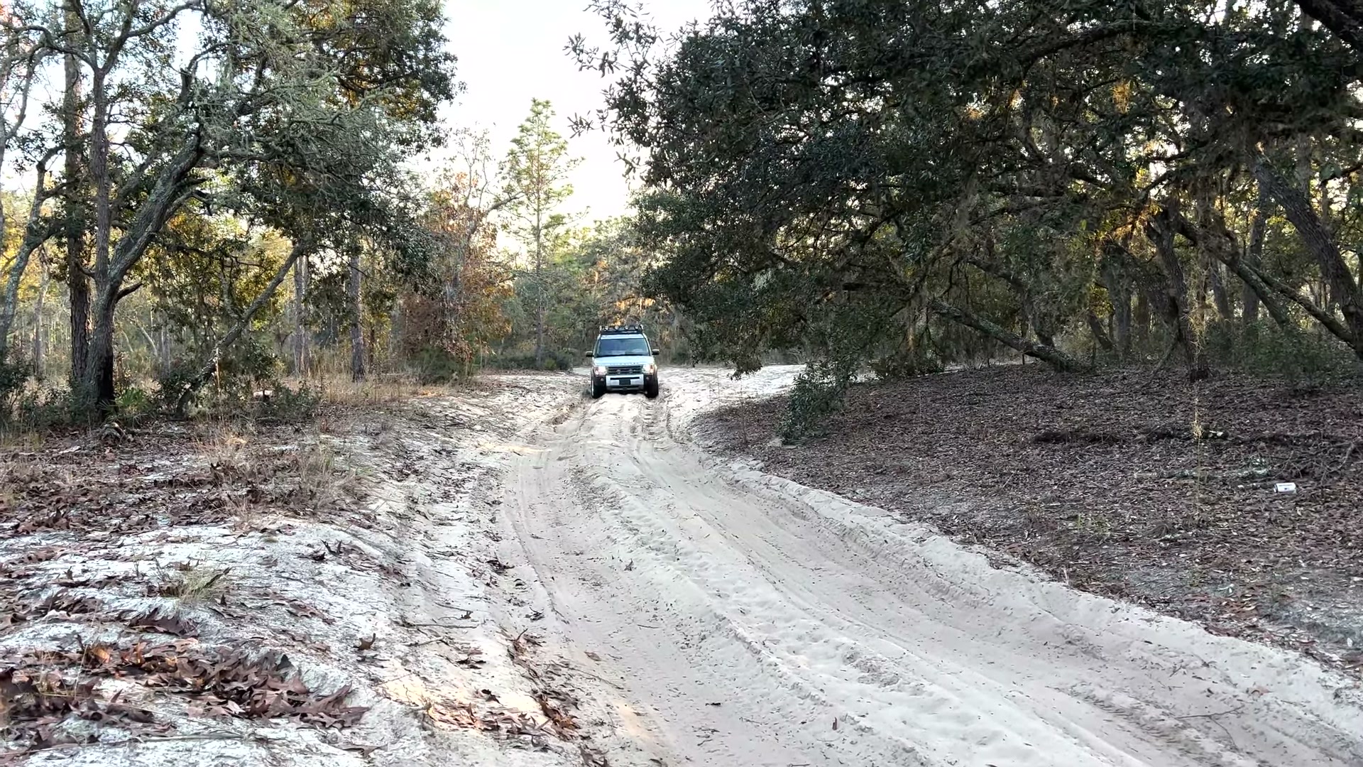 One Night in Ocala National Forest: Camp Cooking, Car Camping and Lake Dorr 11 A wet sand road winding through Ocala National Forest